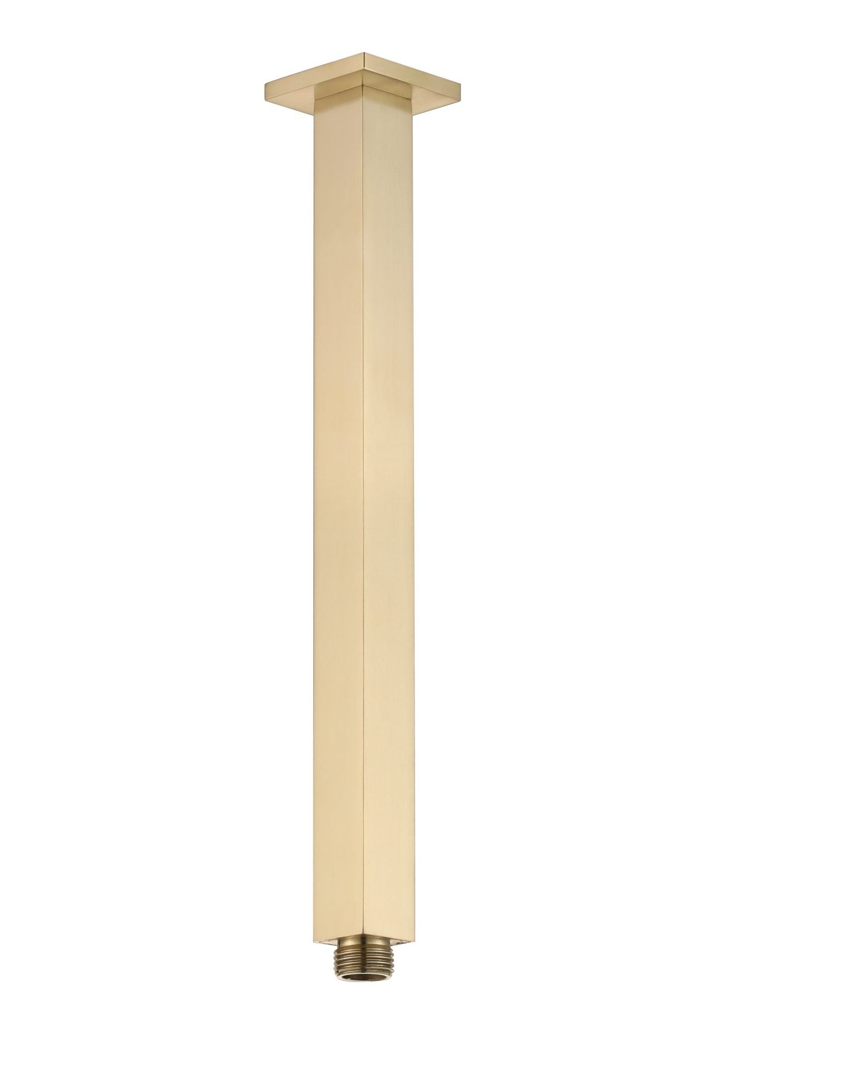 (French Gold)