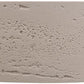 BAS-383812-LAT-3-1024x404 5(Latte)