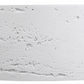 BAS-383812-NEI-2-1024x415 5(Neige)