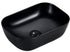 BASL-463213.5-BLK-2-scaled-e1704952032258 1(Black)