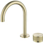CCC_6512-scaled-e1734647666887 1(French Gold)