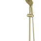 DSH-R-1H-NR-FG-2-scaled-e1728951109315 1(French Gold)