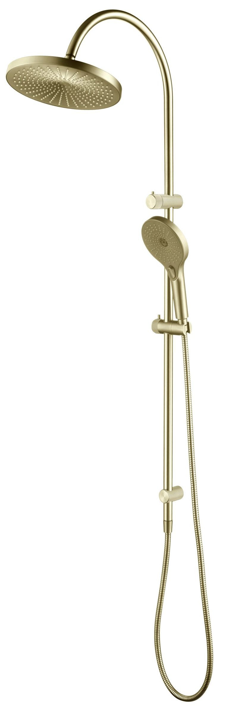 DSH-R-1H-NR-FG-2-scaled-e1728951109315 1(French Gold)