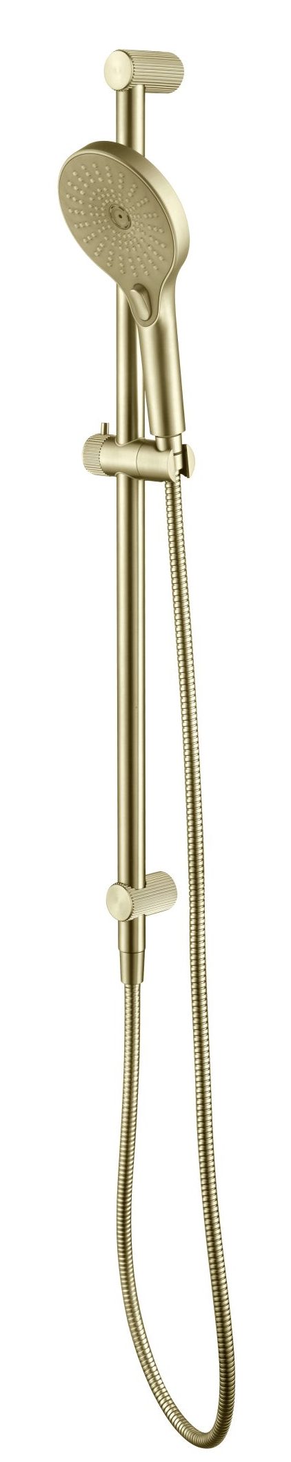 R06-R-NR-FG-3-scaled-e1728954369375 3(French Gold)