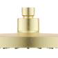 SH-6-R-250-13-1024x378 4(French Gold)