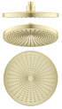 SH-6-R-250-7-e1756095185793 1(French Gold)