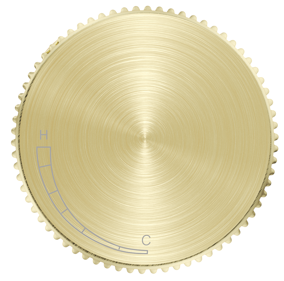 SHM-6-PROG-2-1 3(French Gold)