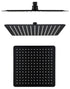(Black)