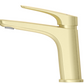28-e1724667673544 2 (French Gold)