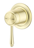 View021_1-1-e1746160403605 1(French Gold)