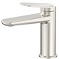 View037_1-e1724388438807  1 (Brushed Nickel)