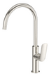 View046_1-1-e1724667283117 1(Brushed Nickel)
