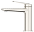 View049_1-3-e1725360965237-1024x945 2 (Brushed Nickel)